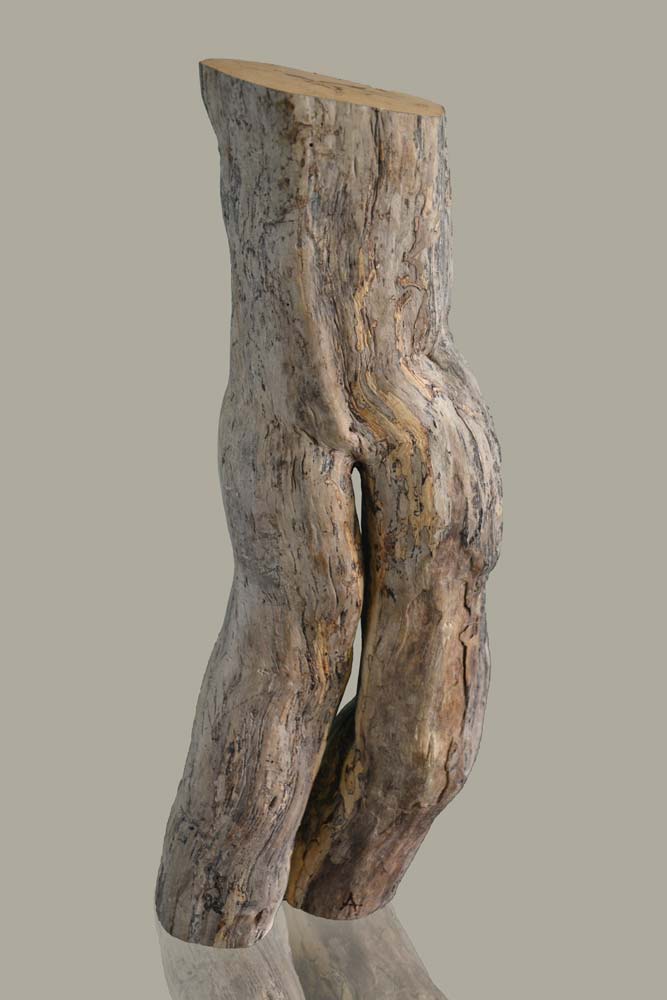 Sculpture en bois brut