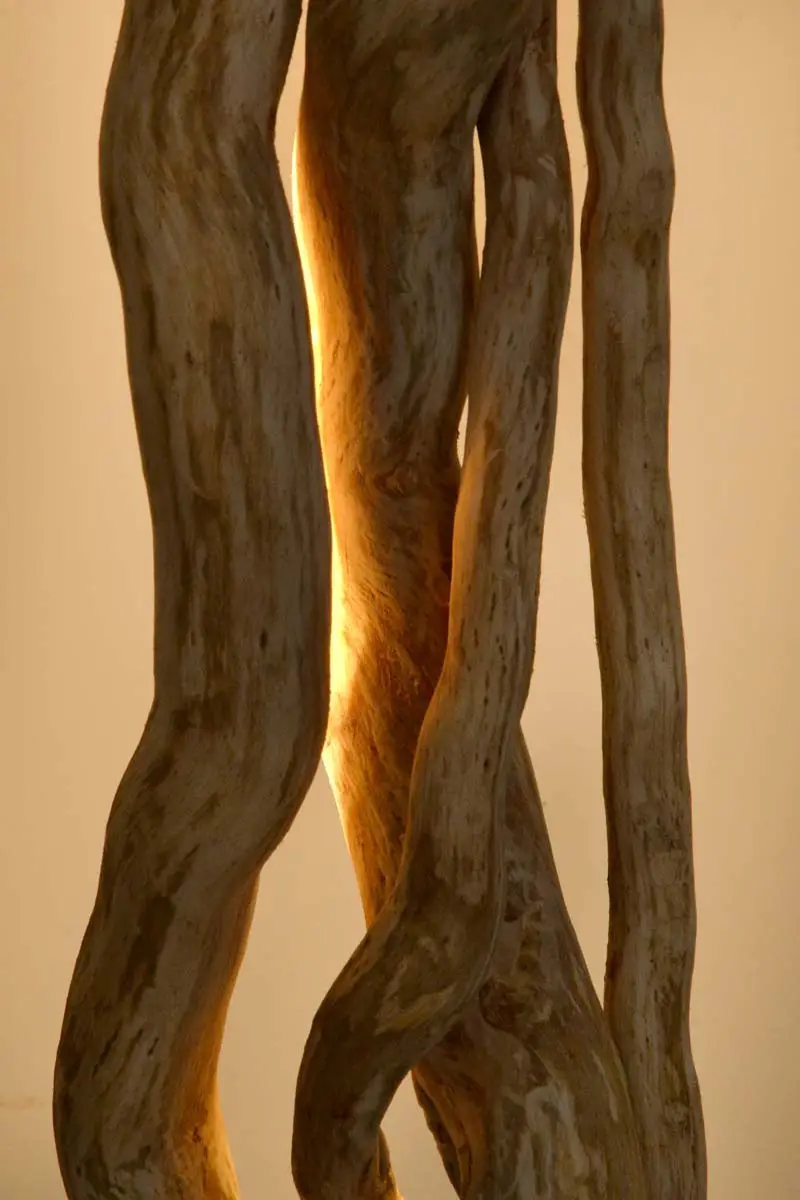 Luminaire LED en bois brut et naturel par le sculpteur et artiste français Frédéric Ansermet